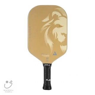 Joola Pickleball Tyson McGuffin Magnus Cas 14