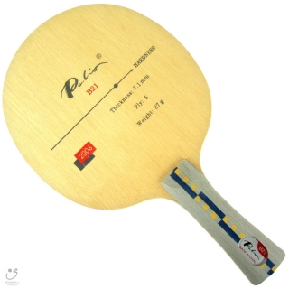 Palio B21