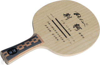 Palio JingKe Carbon